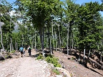 Lasciato il Rifugio torniamo a scendere , per un breve tratto utilizzando uno sterrato....... : sdas16